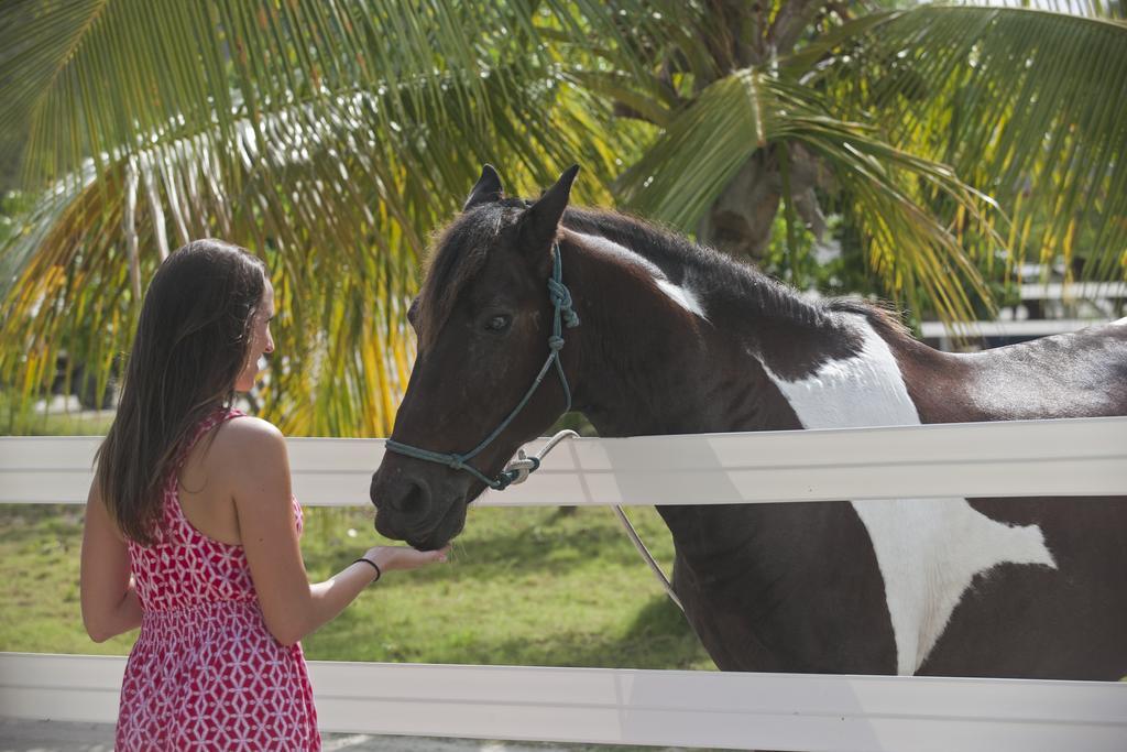 Biras Creek Resort Spanish Town Buitenkant foto